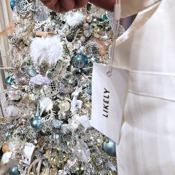 NWT Likely Hara Dress, 12 - Picture 12 of 13